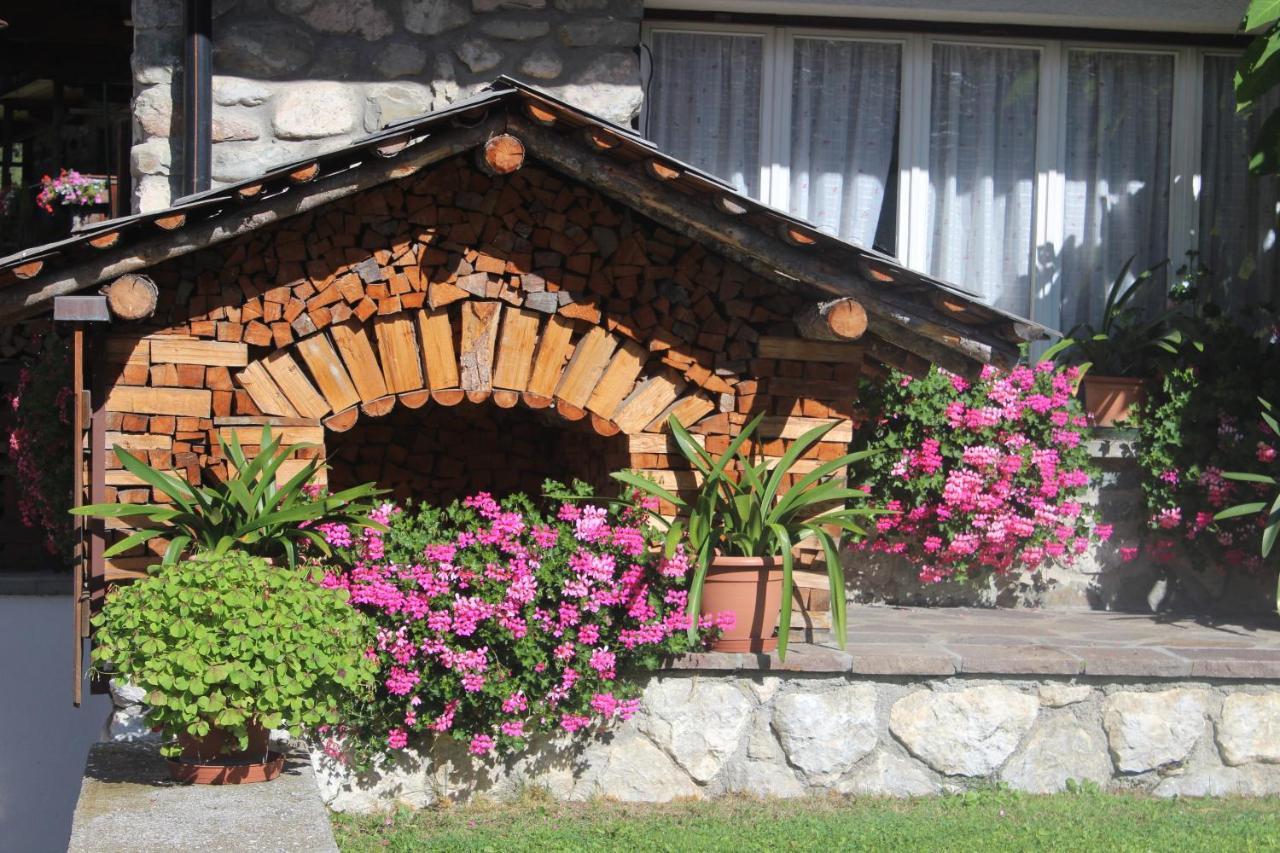 B&B Daina Hame Sappada Esterno foto